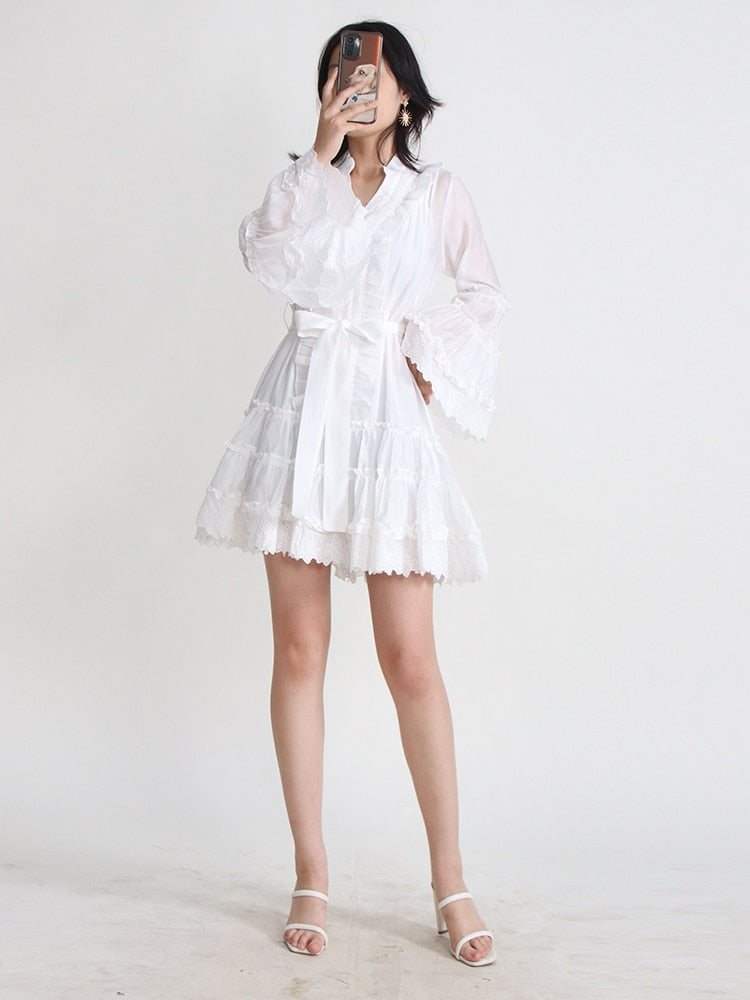 Sexy Puma Lace Dress