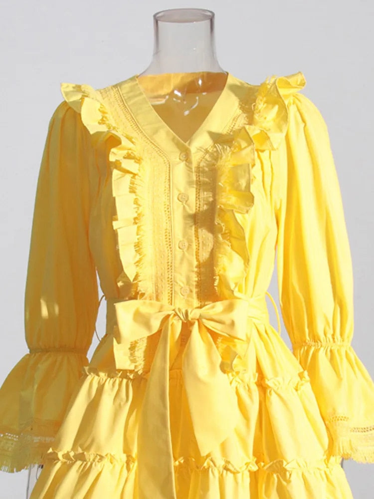 Sexy Puma Lace Dress