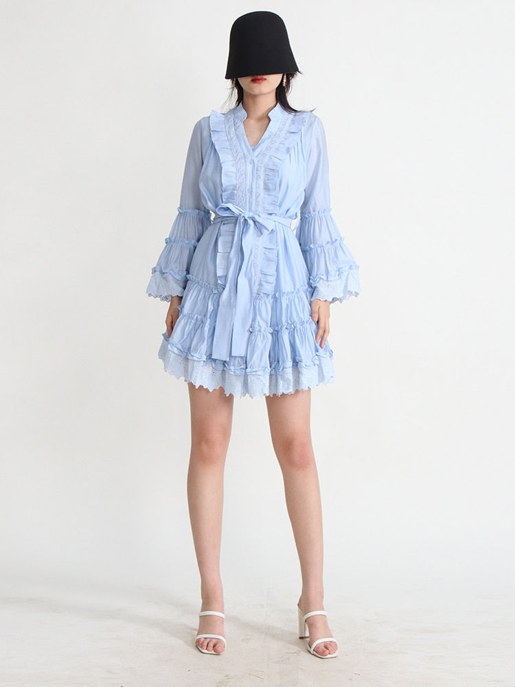 Sexy Puma Lace Dress